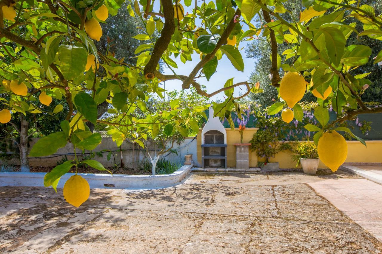 Casa Mediterranea Dei Normanni サン・ヴィート・デイ・ノルマンニ エクステリア 写真